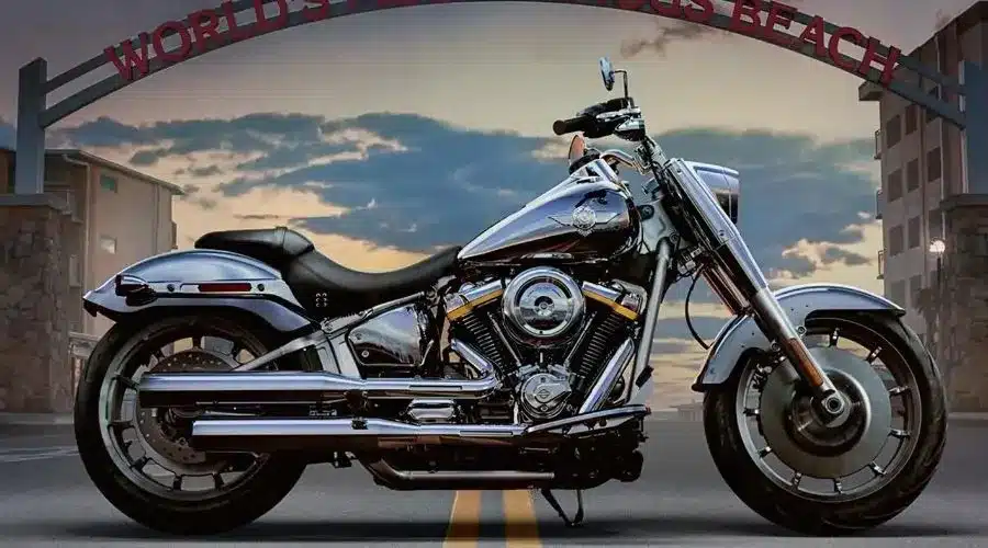 2025 Harley-Davidson Fat Boy Gray Ghost